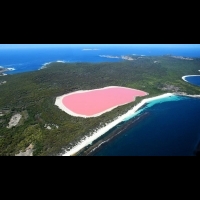 澳大利亞粉紅湖之謎