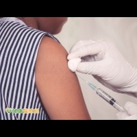 黃熱病嚴重恐致死　赴疫區應接種疫苗
