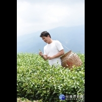 跟著茶旅行　旅行說書人謝哲青走訪嘉縣山城體驗茶鄉魅力