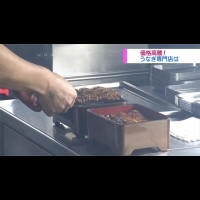日本年度「吃鰻魚日」 業者研發特大號鰻魚