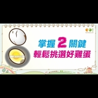 如何挑選好雞蛋｜天然食材 雞蛋篇3