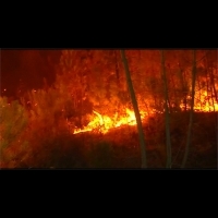 歐洲熱浪持續發威 高溫炎燒林地