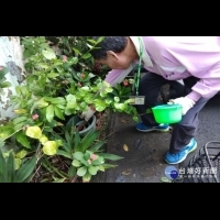 防治登革熱　南市衛生局呼籲民眾清除積水容器