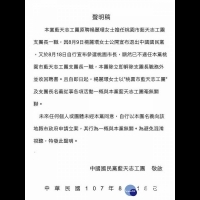 楊麗環宣布參選桃市長　國民黨藍天志工團發聲明解除團長職務