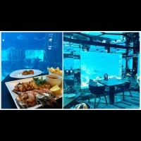 影／跟鯊魚來場浪漫的燭光晚餐！到這4間海底餐廳感受真正的「水底情深」吧～