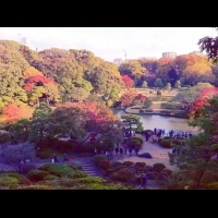 【日式庭園】狂熱者的視界！ 【一生必去一次】之日本庭園特集