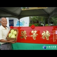 新北文旦柚展售會　估產量較去年增加約1成