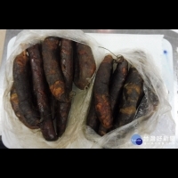 防非洲豬瘟侵台　從中國帶豬肉製品進台最高可罰1.5萬元