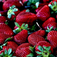 草莓藏針導致澳洲果農重大損失，13年前台灣也有飲料廠商被惡搞