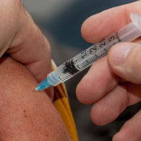 須要打四價流感疫苗嗎？3分鐘帶你瞭解三價與四價流感疫苗的差別