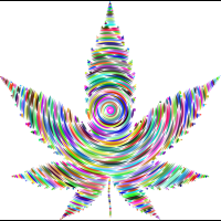 大麻天堂荷蘭總理說：現在販售的大麻更強勁，別碰！