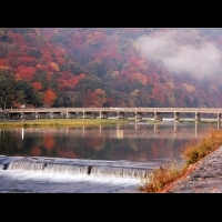 時序入秋，到五彩繽紛的【嵐山】來一趟秋日賞楓小旅行吧！
