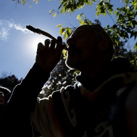 「緝毒戰」勞民傷財，墨西哥向加拿大取經研擬解禁大麻