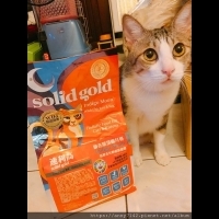 [萌寵]SolidGold速利高~超級寵糧幫我照顧毛孩的健康，增加腸道好菌助消化！減少貓貓不必要的身體負擔！