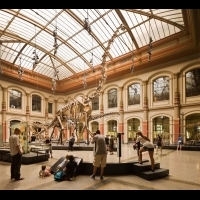 影／CNN評「全球前十大恐龍博物館」　公視前進前進德國探訪，這景象讓主持人瞬間落淚