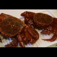 「帝王蟹」不是北海道人民最愛！當地人過年餐桌上必出現年菜之一，水煮時撒上鹽更好吃...
