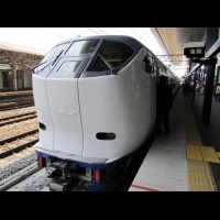 【南海電鐵真的快又方便！】關西機場到京都、大阪市區懶人包