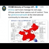 嗆中國「連自己的豬都管不好」　外交部推特呼籲國際介入