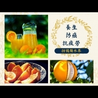 冬季養生法寶 防癌、抗疲勞的柑橘類水果保存大法