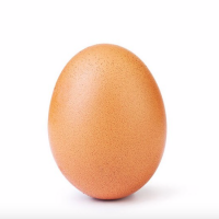 「世界紀錄蛋」突破4600萬讚！5點告訴你這顆神秘雞蛋到底在紅什麼？