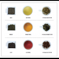 【紅茶懶人包】紅茶、綠茶、烏龍茶，有什麼差別？產地、發酵程度詳解...