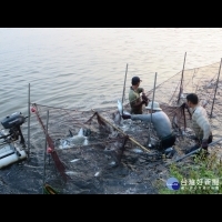大陸冷氣團下週一來襲　嘉縣府籲請養殖漁業做好飼養管理