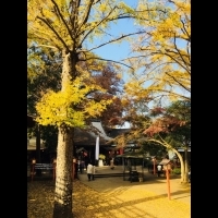 【東京】寧靜的自然環境中享受愜意的氛圍 小日子旅行STYLE【等等力站】散步提案