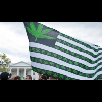 為何美國那麼多公民支持大麻合法化？