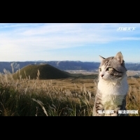 日本人氣明星「旅貓喵吉」帶路！他完成47都道府縣制霸