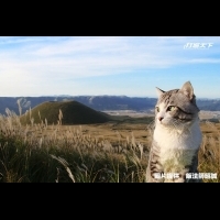 日本人氣明星「旅貓喵吉」帶路!他完成47都道府縣制霸