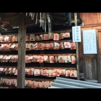 【京都】私房景點！ 女性的守護神ー【市比賣神社】