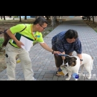 落實犬籍管理強化飼主責任　南市3月起展開稽查