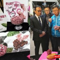 2019台北國際烘焙暨設備展發布:2 比利時巧克力嘉麗寶(Callebaut) 粉紅色旋風再起