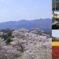 日本秘境賞櫻，享受綠意盎然的鐵路之旅