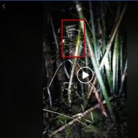 好靈異！錄影直播時拍到竹竿園內有鬼影？