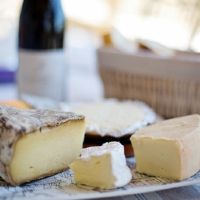 [2019第12期法國乳酪之旅] 5月即將開課囉!