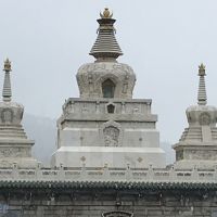 西藏朝聖之旅 (二十)－西寧塔爾寺