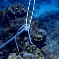 小琉球珊瑚礁遭「打樁」 網撻伐：素質低劣