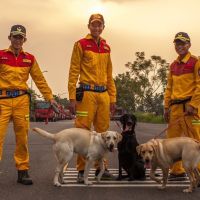 「護竹神犬」來了　竹市消防特搜隊添3隻搜救犬