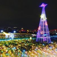 Teamlab等級認證！50萬顆LED燈打造露天燈海，「板橋蝴蝶公園」美的驚人