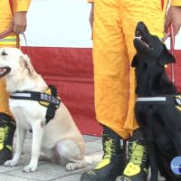 「護竹神犬」演習亮相　提升特搜隊救援能力