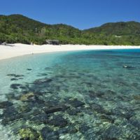 透明獨木舟體驗超特別！沖繩海水浴場10選，夏天就是要玩水！