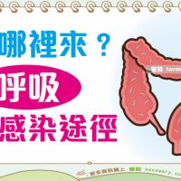 什麼是蟯蟲？