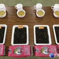 龍潭春季優良包種茶評鑑比賽　增加茶葉行銷通路