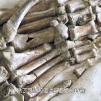 南科「人骨典藏庫」 3D掃描重現古代墓葬