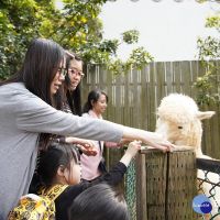 「動物派對」觀察動物家族　六福村療癒之旅寓教於樂