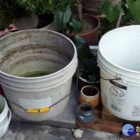 南市2週增3例登革熱病例　請民眾加強積水容器及積水點清除