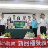 嘉義新品種哈密瓜　簽約一百噸訂單外銷東南亞