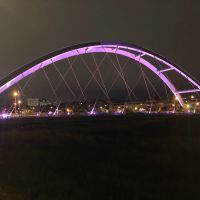 中市東區打卡新亮點   粉紫色東昇橋照亮夜空