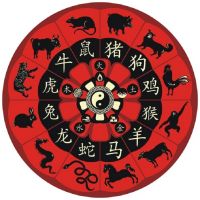 【生肖運勢】（國曆6/6～7/6）大解析，鼠、牛、馬考驗多宜謹慎...